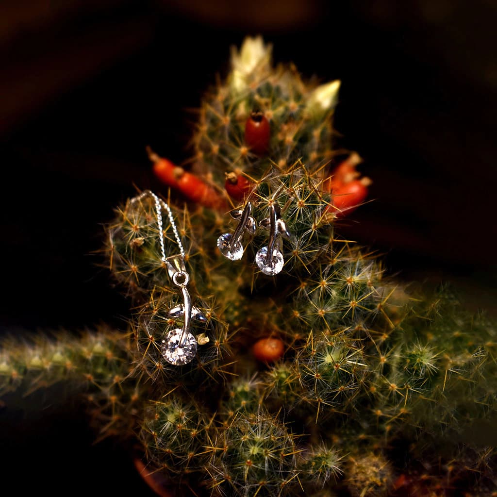 Opuntia